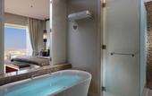 Туры в отель The Tower Plaza Hotel Dubai