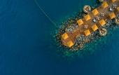 Туры в отель Vinpearl Luxury Nha Trang