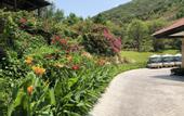 Туры в отель Vinpearl Luxury Nha Trang