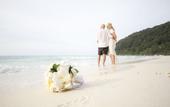 Туры в отель Bubu Long Beach Resort