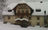 Туры в отель Landhaus Streklhof