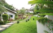 Туры в отель Kata Hi View Resort