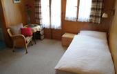 Туры в отель Hotel Alpina Zermatt