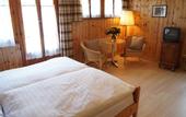 Туры в отель Hotel Alpina Zermatt