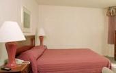 Туры в отель Buena Vista Motor Inn