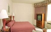 Туры в отель Buena Vista Motor Inn