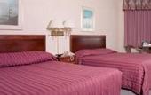 Туры в отель Buena Vista Motor Inn
