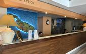 Туры в отель The Bugibba Hotel