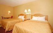 Туры в отель Comfort Inn & Suites Airport Camp Creek