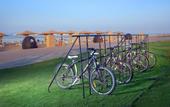 Туры в отель Tropitel Sahl Hasheesh