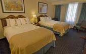 Туры в отель Holiday Inn Buffalo Amherst