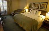Туры в отель Holiday Inn Buffalo Amherst