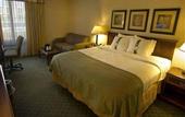 Туры в отель Holiday Inn Buffalo Amherst