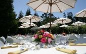 Туры в отель Cambria Pines Lodge