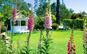 Туры в отель Cambria Pines Lodge