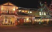 Туры в отель Cambria Pines Lodge