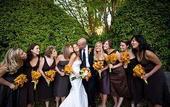 Туры в отель Cambria Pines Lodge