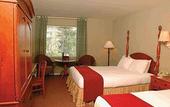 Туры в отель Cambria Pines Lodge