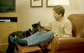 Туры в отель Candlewood Suites Denver