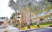 Туры в отель Xperience Sea Breeze Resort
