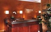 Туры в отель The Westin O'Hare