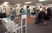 Туры в отель Holiday Inn Express Mesa Verde