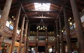 Туры в отель Glacier Park Lodge