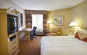 Туры в отель Hilton Garden Inn Flagstaff