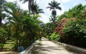 Туры в отель Pure Garden Resort