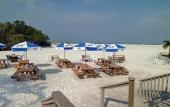 Туры в отель Holiday Inn Fort Myers Beach
