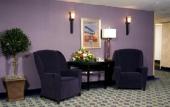 Туры в отель Crowne Plaza Dulles Airport