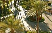 Туры в отель Renaissance Esmeralda Resort & Spa