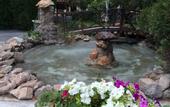 Туры в отель Burcu Kaya Hotel