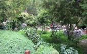 Туры в отель Burcu Kaya Hotel