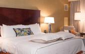 Туры в отель Omni Jacksonville