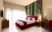 Туры в отель Kuta Central Park Hotel