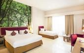 Туры в отель Kuta Central Park Hotel