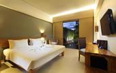 Туры в отель The 1O1 Bali Oasis Sanur