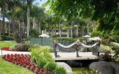 Туры в отель Sheraton La Jolla