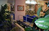 Туры в отель Bluesun Hotel Neptun