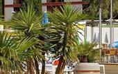 Туры в отель Bluesun Holiday Village Bonaca