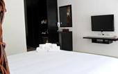 Туры в отель BS Premier Airport Hotel