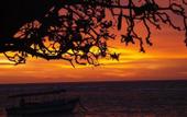 Туры в отель Ypsylon Tourist Resort