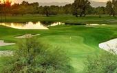 Туры в отель The Wigwam Golf Resort & Spa