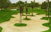 Туры в отель The Wigwam Golf Resort & Spa