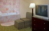 Туры в отель Holiday Inn Lockport