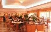Туры в отель Katriya Hotel & Towers