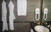Туры в отель Business Hotel Plovdiv