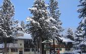 Туры в отель Alpenhof Lodge