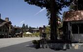 Туры в отель Alpenhof Lodge